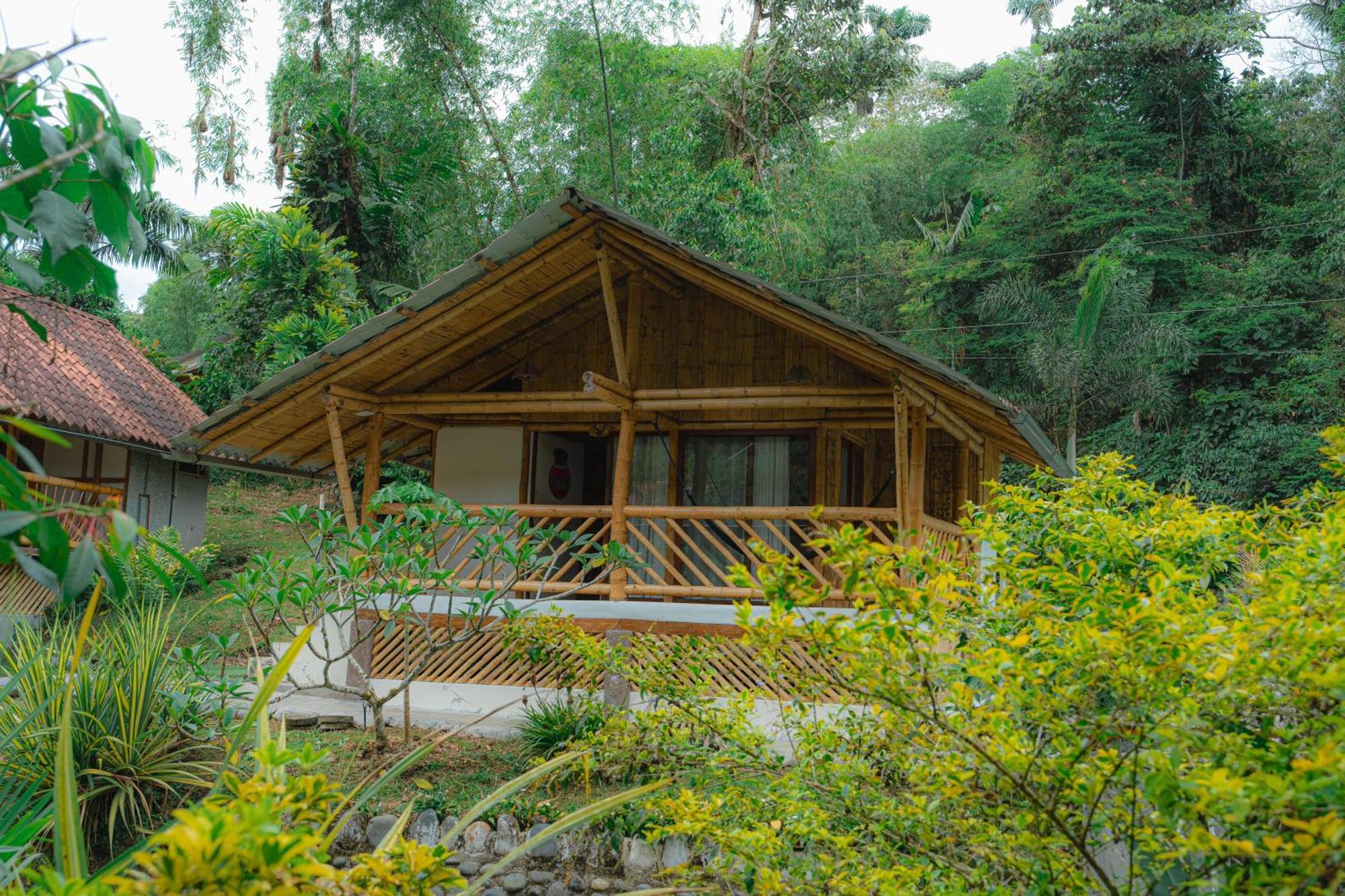 Finca Las Palmas Ecolodge 普约 外观 照片