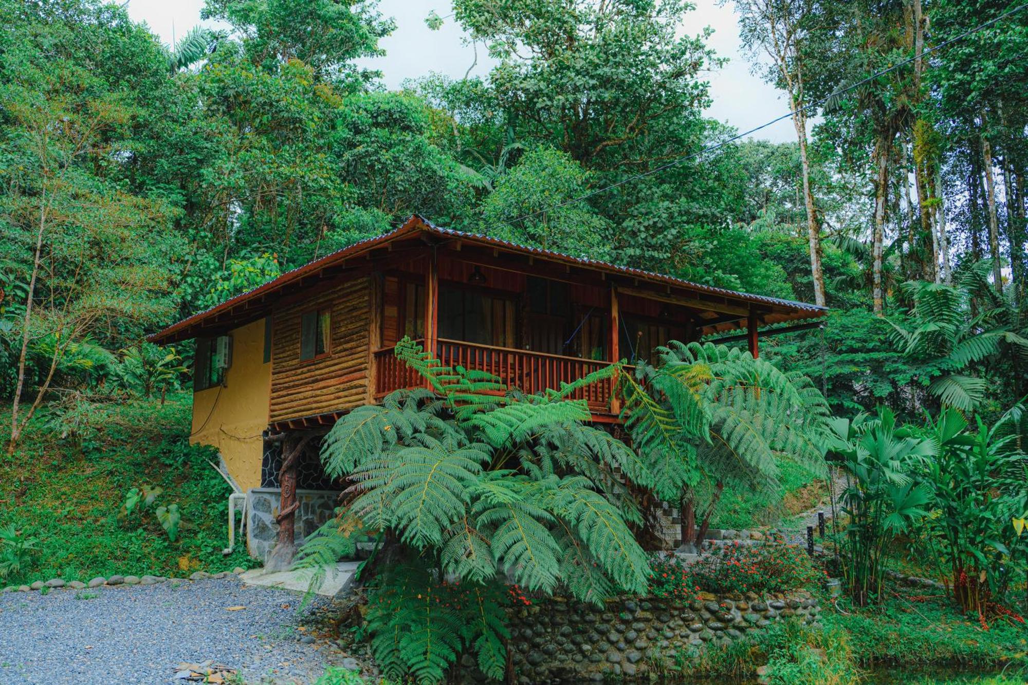 Finca Las Palmas Ecolodge 普约 外观 照片