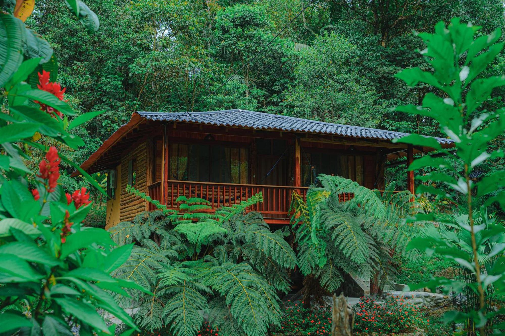 Finca Las Palmas Ecolodge 普约 外观 照片