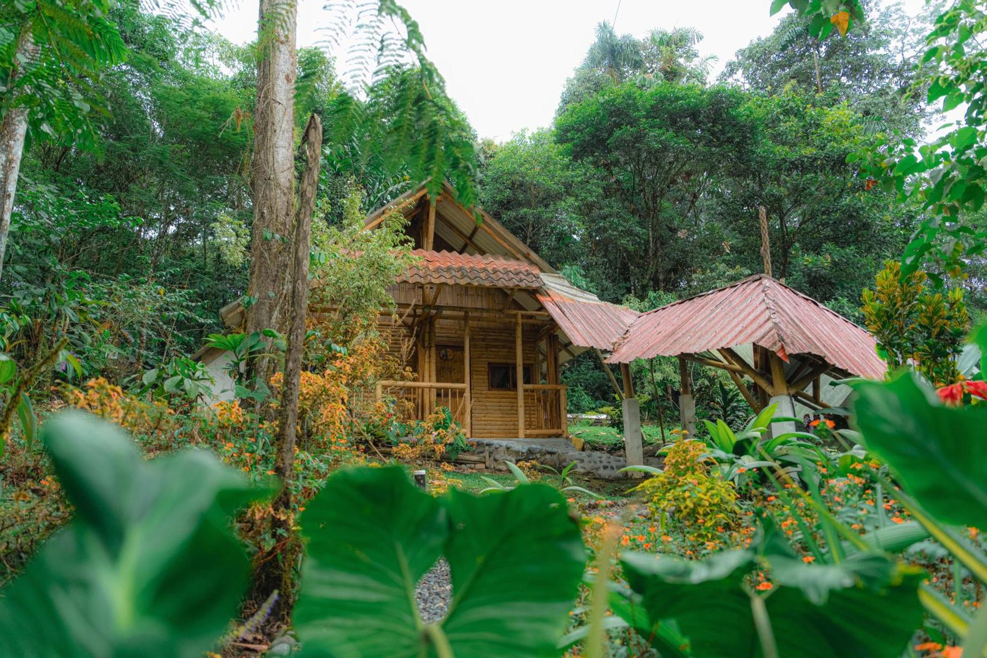 Finca Las Palmas Ecolodge 普约 外观 照片