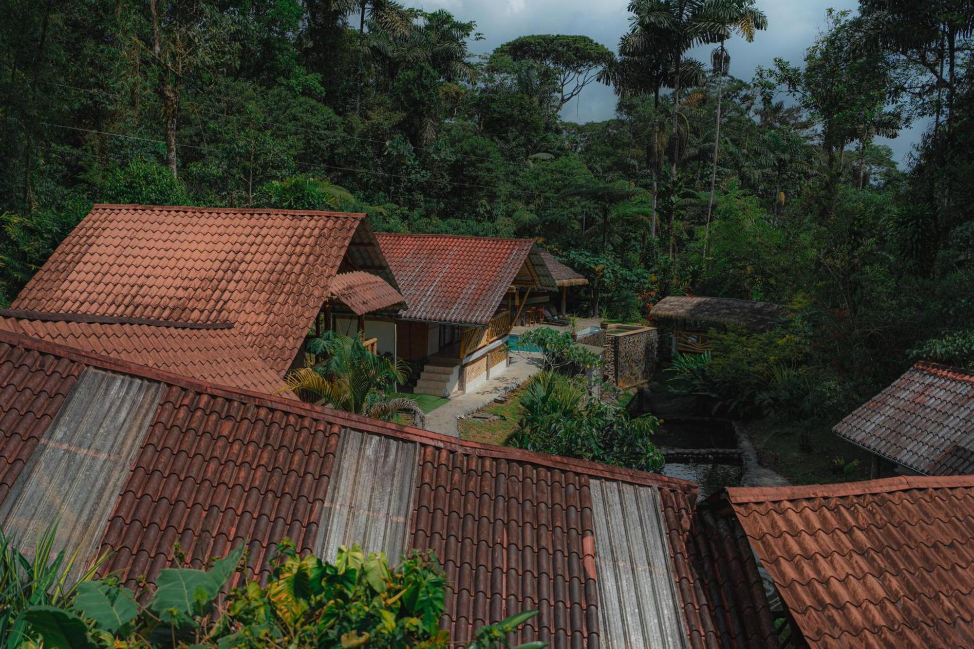 Finca Las Palmas Ecolodge 普约 外观 照片