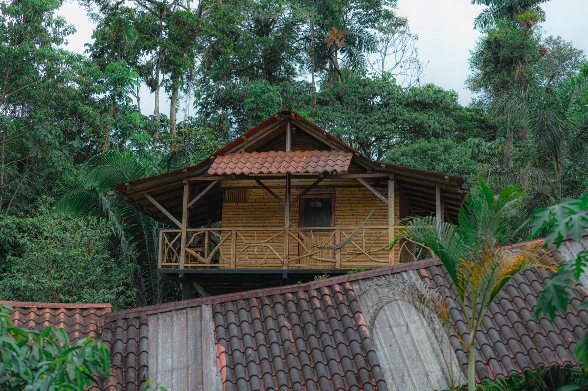 Finca Las Palmas Ecolodge 普约 外观 照片
