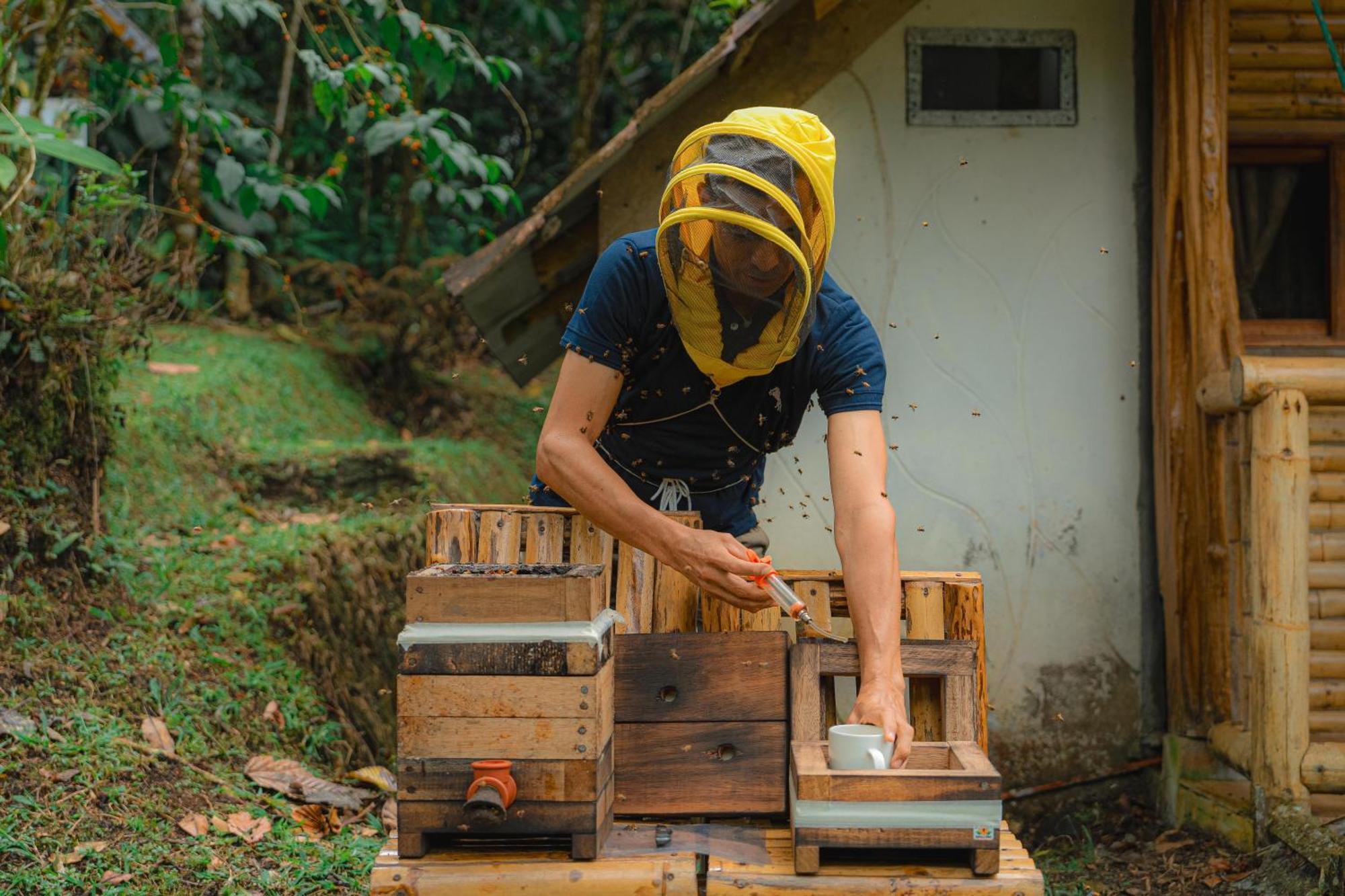 Finca Las Palmas Ecolodge 普约 外观 照片