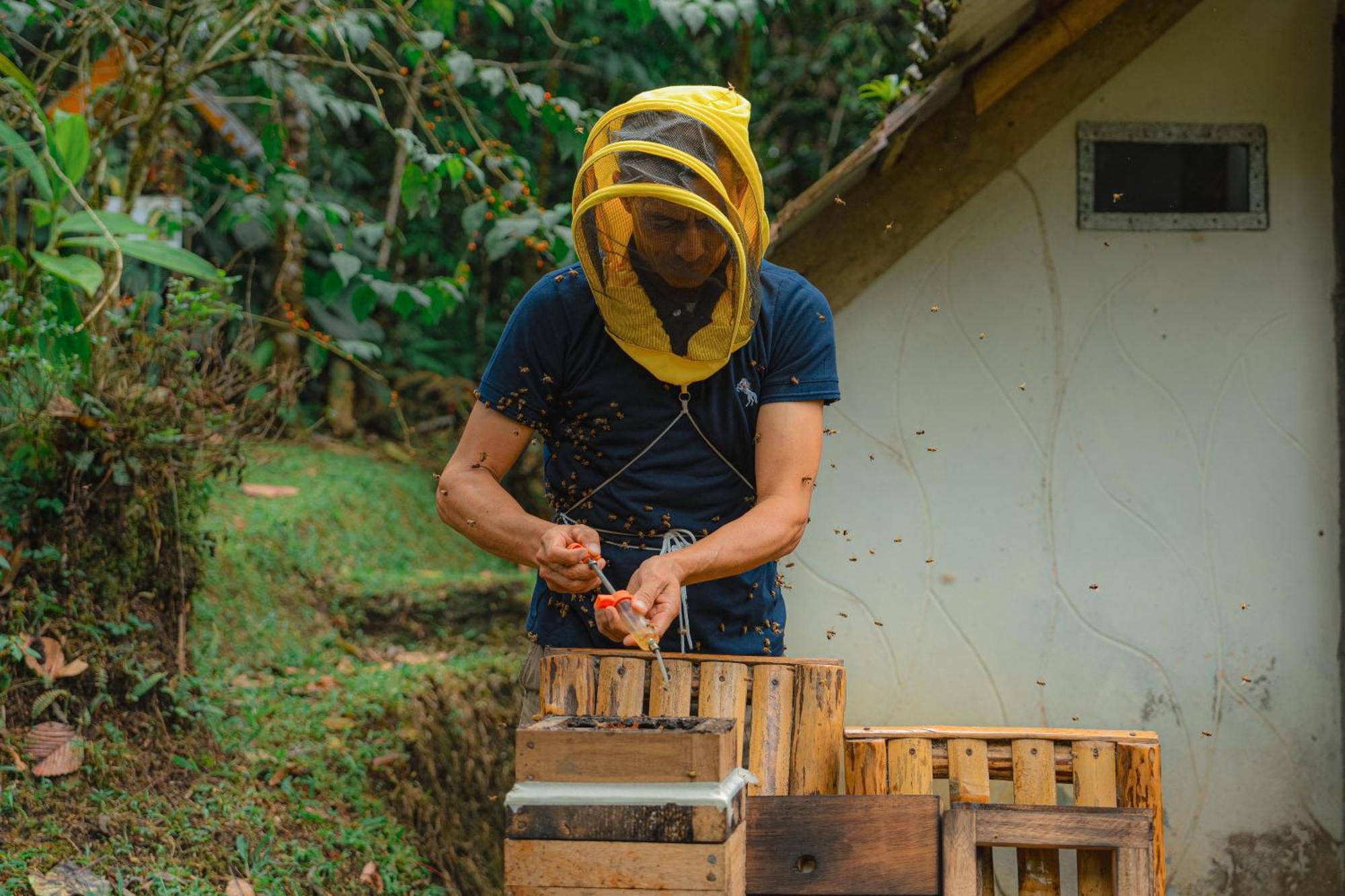 Finca Las Palmas Ecolodge 普约 外观 照片