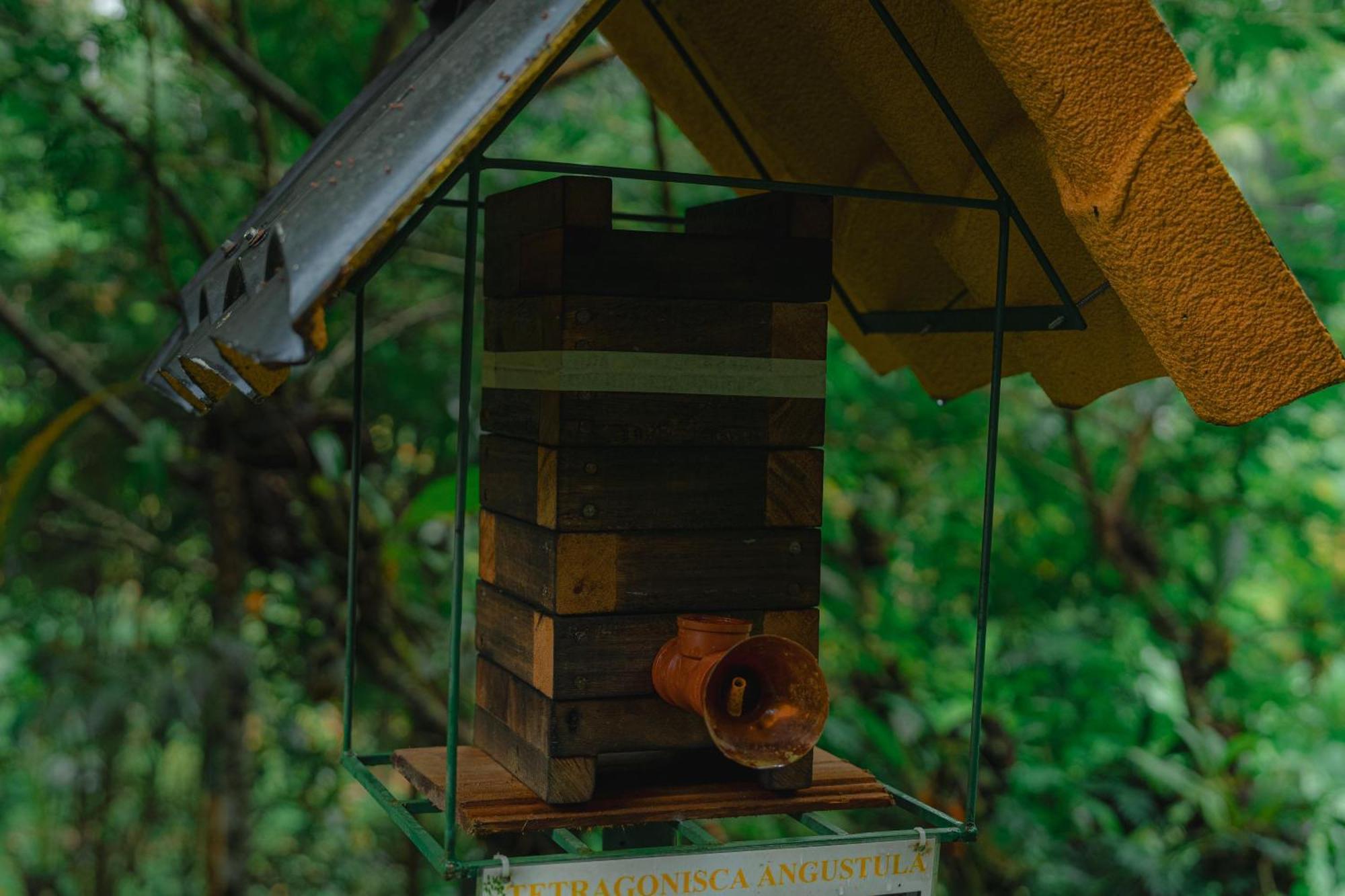 Finca Las Palmas Ecolodge 普约 外观 照片