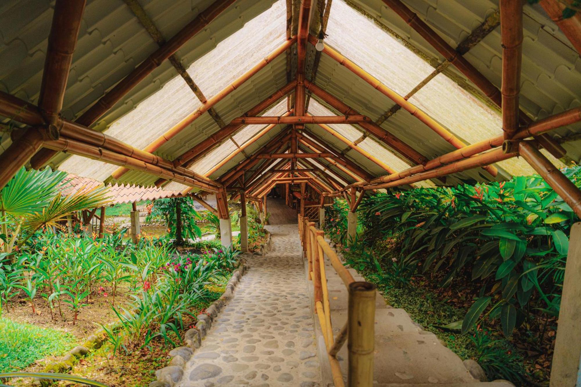 Finca Las Palmas Ecolodge 普约 外观 照片