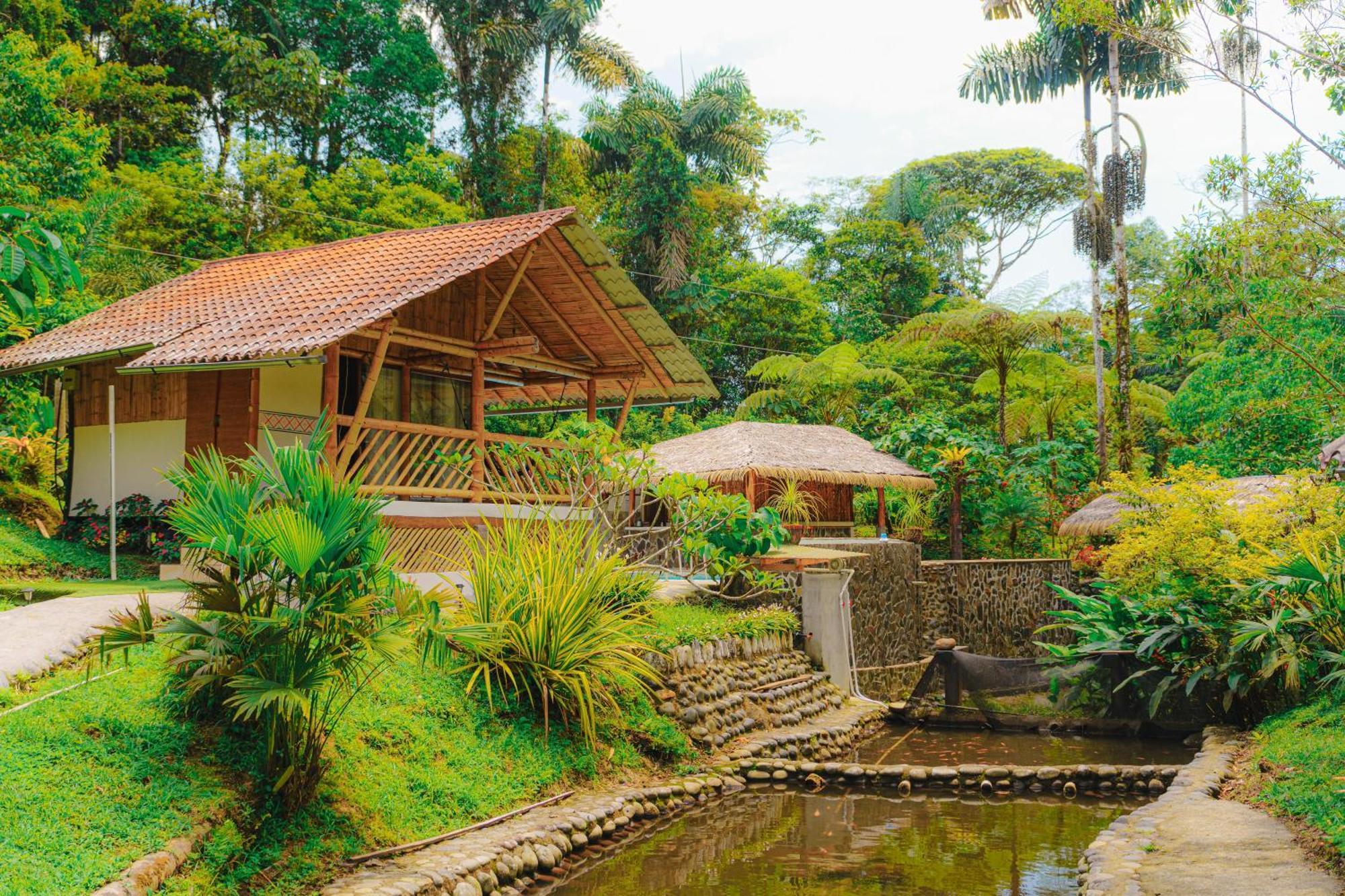Finca Las Palmas Ecolodge 普约 外观 照片