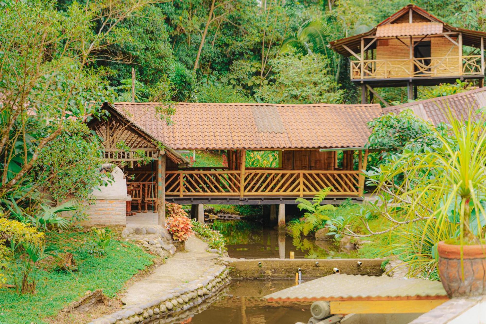 Finca Las Palmas Ecolodge 普约 外观 照片