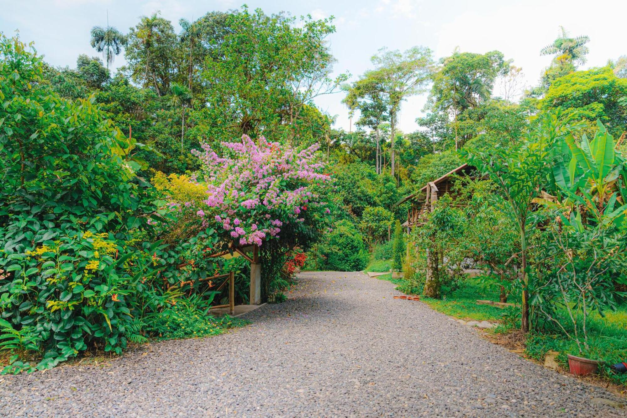 Finca Las Palmas Ecolodge 普约 外观 照片